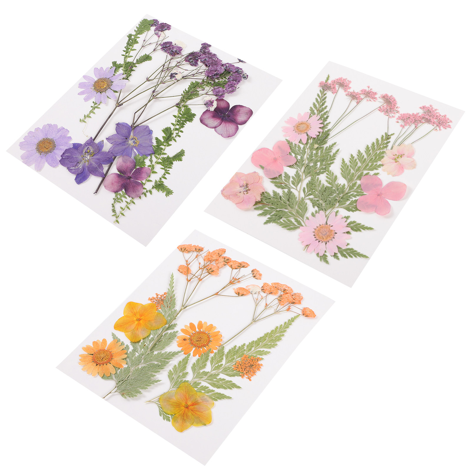 Art Craft Flower - Bahan Dekorasi Bunga Kering 3 Set