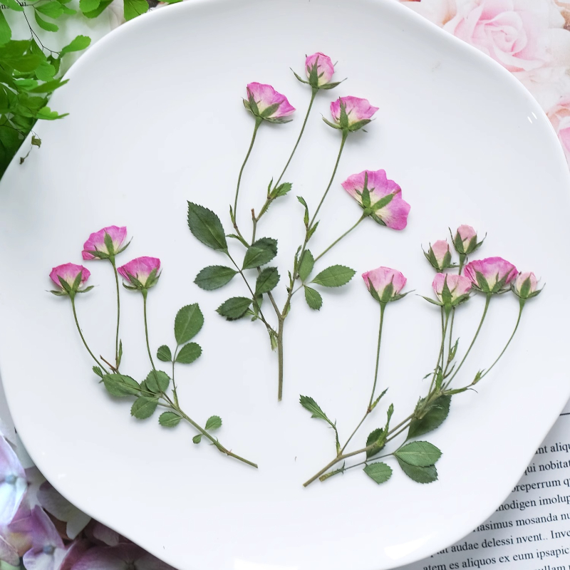 12 Buah, Bunga Mawar Merah Mud - Art Craft Flower ulasan dan harga
