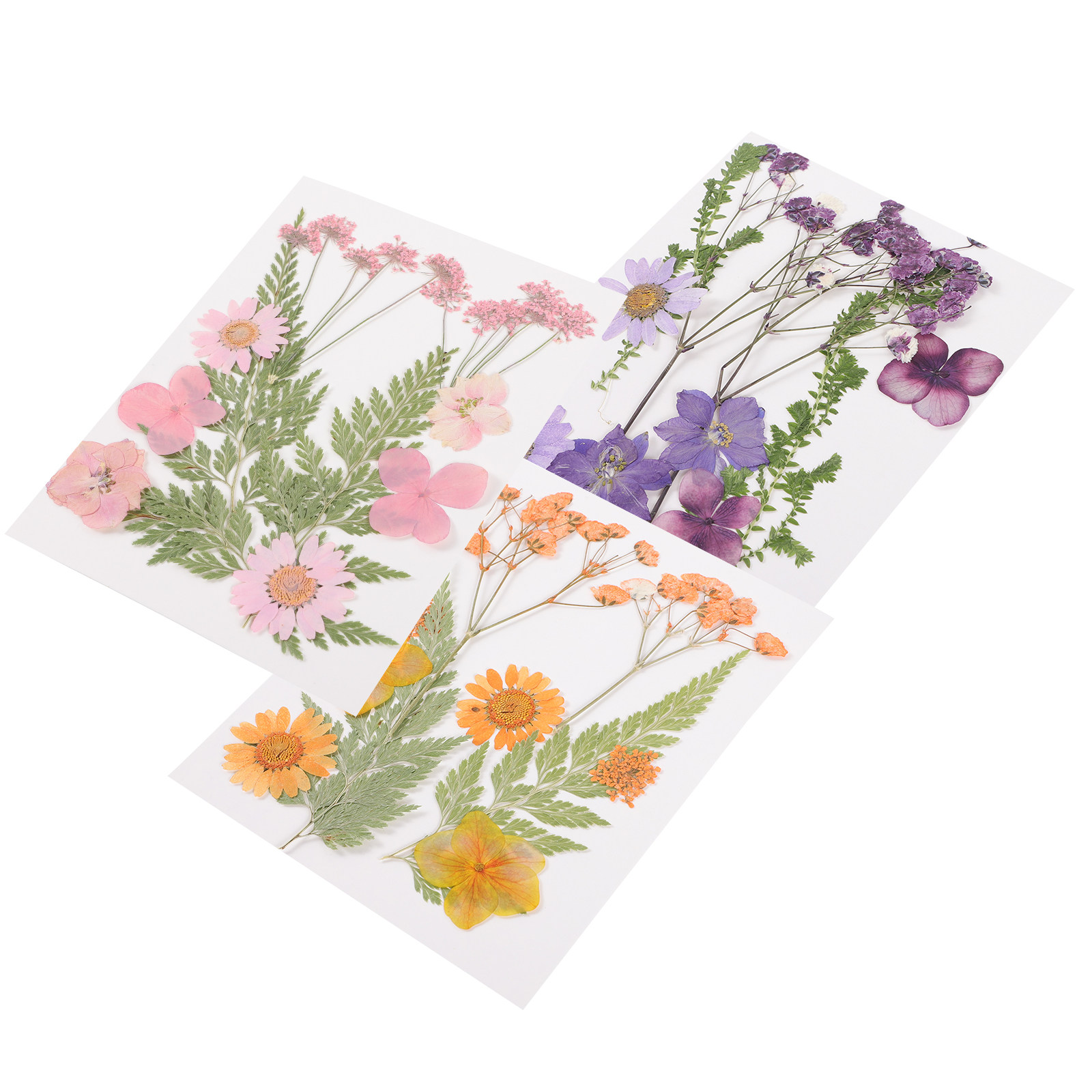 Bahan Dekorasi Bunga Kering 3  - Art Craft Flower ulasan dan harga