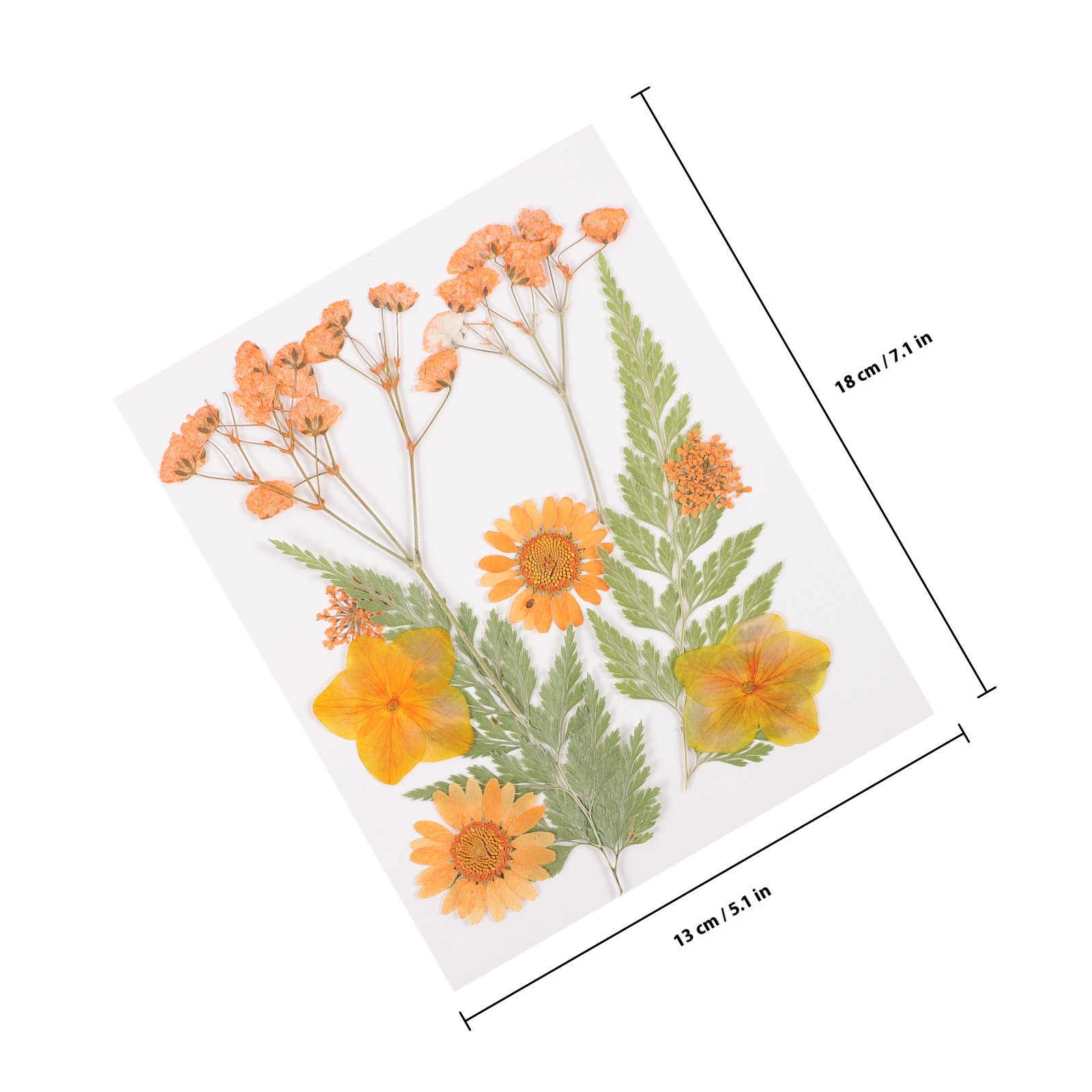 Bahan Dekorasi Bunga Kering 3  - Art Craft Flower ulasan dan harga